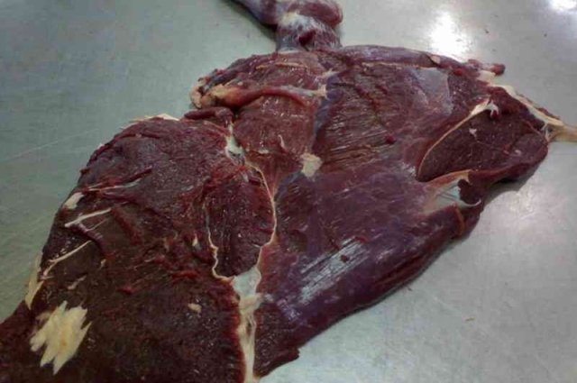 Photo of کہیں آپ گدھے کا گوشت تو نہیں کھارہے ؟ پہچان کا آسان طریقہ