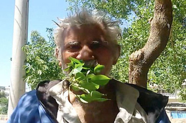 Photo of غربت کے ہاتھوں مجبور 50 سالہ پاکستانی 25 سال سے لکڑی اور پتے کھانے پر مجبور