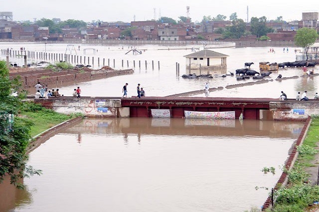 Photo of مون سون بارشوں نے تباہی مچادی، مختلف حادثات میں 16 افراد جاں بحق