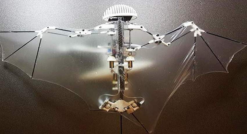 Photo of چمگادڑ ڈرون بنانے کا منصوبہ