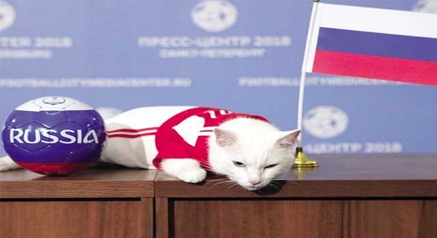 Photo of ’بلی‘ نے پہلے ورلڈ کپ میچ میں روسی فتح کی پیشگوئی کر دی