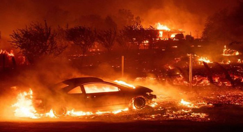 Photo of کیلیفورنیا کے جنگلات میں لگی آگ سے ہلاکتوں کی تعداد 74 ہو گئی، ایک ہزار سے زائد لاپتا