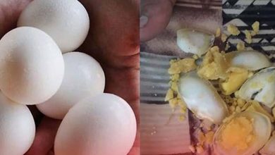 Photo of کراچی: دکان سے پلاسٹک کے انڈے برآمد ، فوڈ اتھارٹی تذبذب کا شکار
