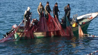 Photo of حکومت نے ماہی گیروں کوشکار کی اجازت دے دی