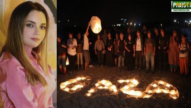 Photo of ارمینا خان کی فلسطینی بچوں کی یاد میں شمعیں روشن کرنے کی اپیل
