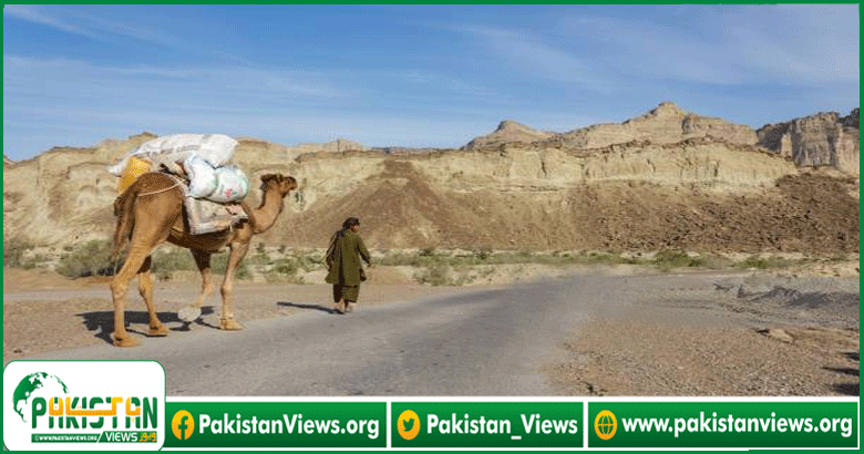 بلوچستان میں اونٹوں کے ذریعے منشیات کی اسمگلنگ ناکام