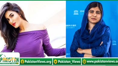 Photo of شادی سے متعلق ملالہ کا متنازعہ بیان ، متھیرا بھی چپ نہ رہ سکیں