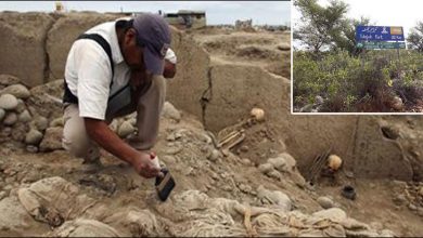 Photo of وادی سون میں ماہرین آثار قدیمہ کی مہم کامیاب