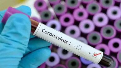 Photo of گزشتہ 24 گھنٹوں میں کورونا وائرس کے باعث 18 اموات رپورٹ ہوئی