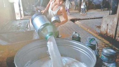 Photo of دودھ کی قیمت میں 10 روپے اضافے کا اعلان