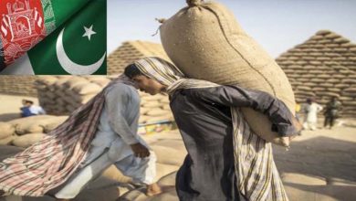 Photo of پاکستان ہمسایہ ملک افغانستان کو 50ہزار میٹرک ٹن گندم عطیہ کرے گا