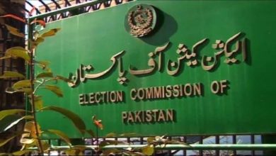 Photo of اوورسیز پاکستانی الیکشن کمیشن پہنچ گئے آئی ووٹنگ قانون پر عملدرآمد کا مطالبہ
