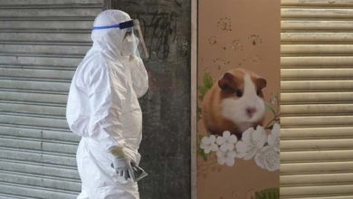 Photo of کورونا وبا کے پیش نظر دو ہزار پالتو جانور ہلاک کرنے کا اعلان