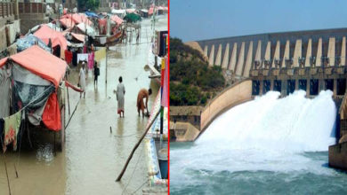 Photo of ڈیم تعمیر کرکے ہم سیلاب کے نقصانات سے بچ سکتے ہیں : عمران خان