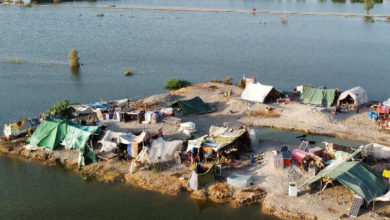 Photo of منچھر جھیل کے سیلابی پانی نے سیہون شہر میں تباہی مچادی