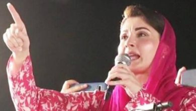Photo of فتنہ خان کی شہباز شریف کے بارے بے تکی باتیں تڑپنے کا پتا دے رہی ہیں