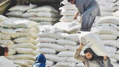 Photo of بلوچستان میں آٹا فی کلو 125 سے 130 روپے میں فروخت
