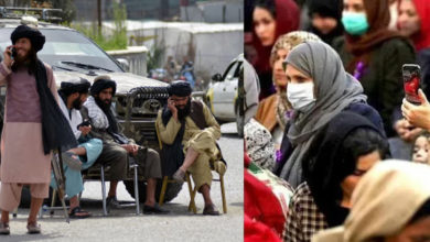 Photo of طالبان حکومت نے خواتین کے دفاتر میں کام کرنے پر پابندی عائد کردی ہے