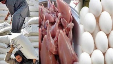 Photo of مرغی کے گوشت اور انڈے کی قیمت بھی بڑھا دی گئی ہے