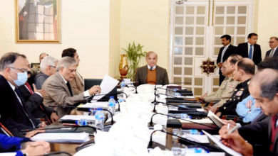 Photo of وزیراعظم پاکستان میاں محمد شہباز شریف نے ایپکس کمیٹی کا اجلاس آج طلب کیا
