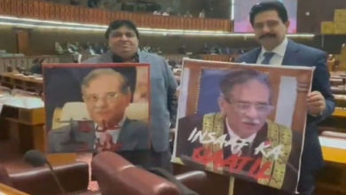 Photo of پارلیمنٹ کے مشترکہ اجلاس میں حکومت کا ثاقب نثار کیخلاف احتجاج
