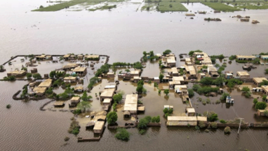 Photo of سیلاب متاثرہ علاقوں میں تعمیر نو شروع کی جائے ، ورلڈ بینک