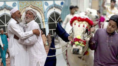 Photo of سندھ حکومت نے عیدالاضحیٰ کی تعطیلات کا نوٹی فکیشن جاری کردیا