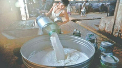 Photo of کراچی میں دودھ کی قیمت میں 20 روپے کا اضافہ