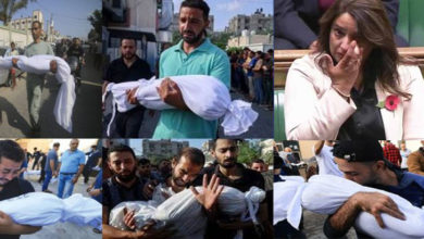 Photo of برطانوی رکن پارلیمنٹ ناز شاہ غزہ کے بچوں کی حالتِ پر آب دیدہ