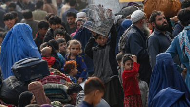 Photo of افغان مہاجرین کو ملک واپس بھجوانے کی درخواست کی سماعت 12 دسمبر تک ملتوی