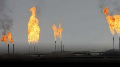 Photo of صوبہ سندھ میں تیل و گیس کے ذخائر دریافت ہو گئے
