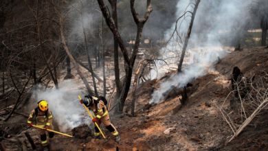 Photo of چلی : جنگل میں لگنے والی آگ سے ہلاکتوں کی تعداد 112 ہوگئی