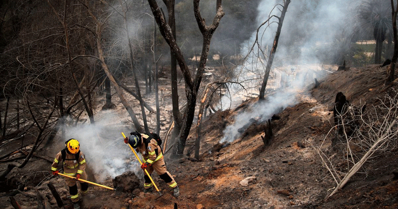 چلی:جنگل میں لگنے والی آگ سے ہلاکتوں کی تعداد 112 ہوگئی