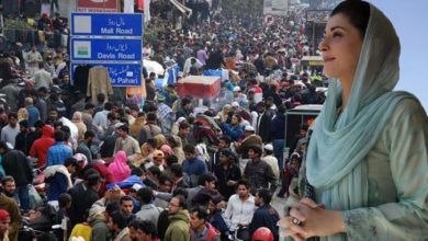 Photo of پنجاب بھر میں وزیراعلیٰ مریم نواز  نے تقرر اور تبادلوں پر پابندی لگادی