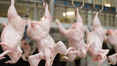 Photo of کراچی: مرغی کے گوشت کی فی کلو قیمت 750 روپے سے متجاوز