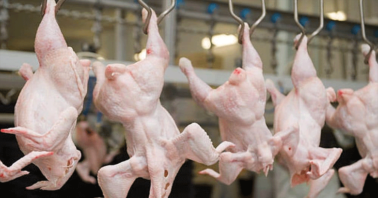 کراچی: مرغی کے گوشت کی فی کلو قیمت 750 روپے سے متجاوز