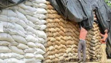 Photo of ذخیرہ اندوز مافیا میدان میں آ گیا ، کسانوں سے سستے داموں گندم خرید کر خفیہ گوداموں میں ذخیرہ