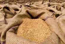 Photo of گندم کی نئی قیمت مقرر کرنے پر عدالت نے وفاقی حکومت سے جواب طلب کرلیا