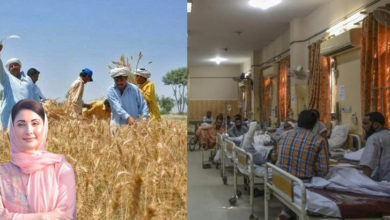 Photo of کسانوں کے لیے چار سو بلین کا پیکج لے کر آرہے ہیں ، گندم کا کوئی بحران نہیں