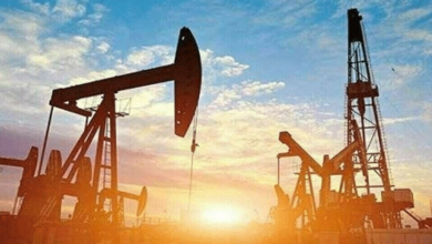 Photo of تیل و گیس کی مقامی پیداوار میں ہفتہ وار بنیاد پر نمایاں اضافہ ریکارڈ