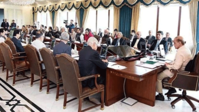 Photo of وفاقی کابینہ کا اجلاس: ایرانی صدر اور وزیرخارجہ کی شہادت پر تعزیتی قرارداد منظور